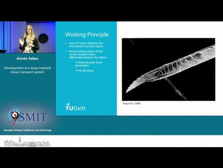 Development of a Wasp-Inspired Tissue Transport System