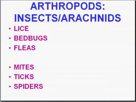 Infectious Diseases - MSP - 8g