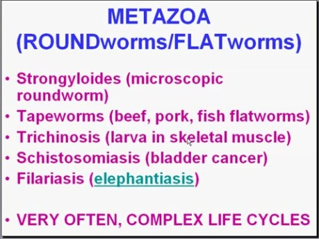 Infectious Diseases - MSP - 8r