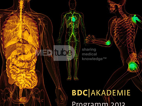 Annual Programme BDC|Academy 2013
