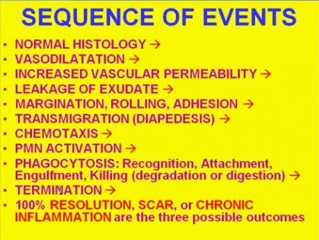 Inflammation - MSP - 2a