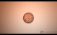 Mitosis