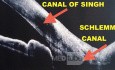 Schlemm Canal and Singh Canal Connection
