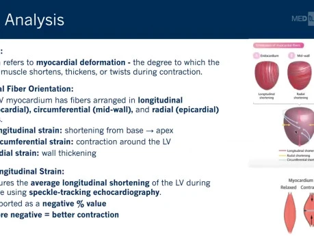 Cardio-Oncology - Between Scylla and Charybdis