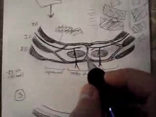 Thoracoabdominal Wall - Video Lecture - Part 7
