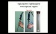 Rigid Chip on the Tip Endoscope for Rhinosurgery and Diagnosis