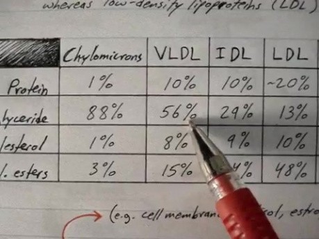 Overview - Lipoprotein Physiology Lecture