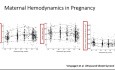 Echocardiography in the Pregnant Heart