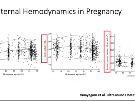 Echocardiography in the Pregnant Heart