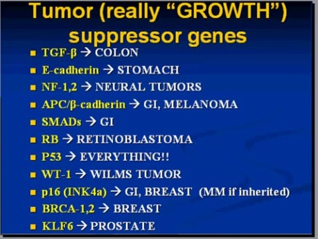 Neoplasia - MSP - 7i