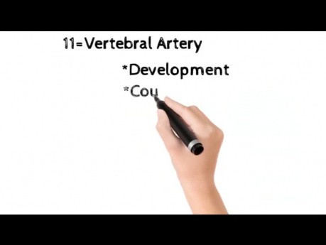 Important Topics of Head and Neck Gross Anatomy for First Year BDS Students