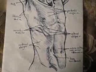 Thoracoabdominal Wall - Video Lecture - Part 6