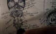 Brainstem - Neuroanatomy Lectures - 15
