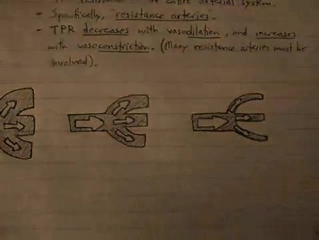 Blood Pressure Regulation - Lecture - Part 1/2