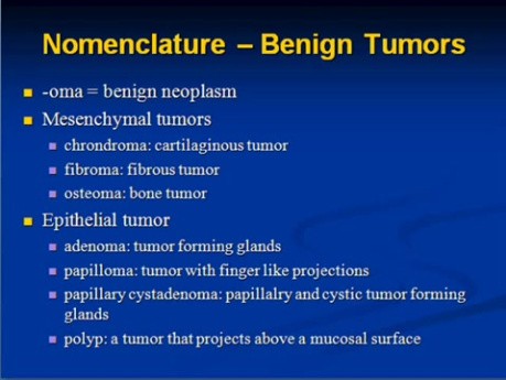 Neoplasia - MSP - 7a
