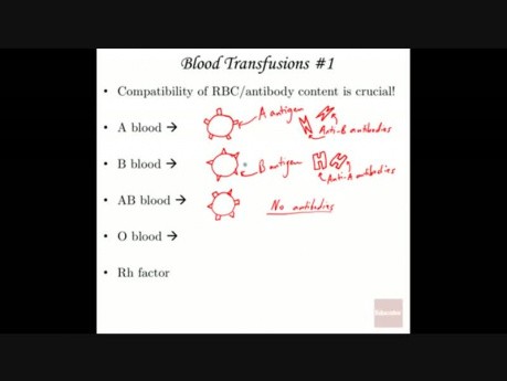 Anatomy and Physiology of Blood