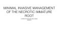 Minimal Invasive Management of the Necrotic Immature Root