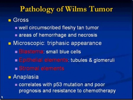 Infancy and Childhood Diseases - MSP - 10l