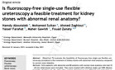 Is Fluoroscopy-free Single-use Flexible Ureteroscopy a Feasible Treatment for Kidney Stones with Abnormal Renal Anatomy?