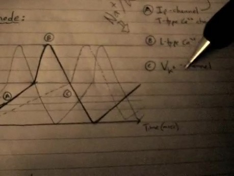 Pacemaker AP - Cardiac Action Potential Lecture - Part 2/6