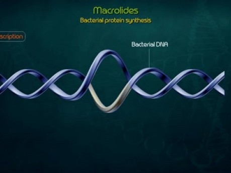 Macrolides Detailed Pharmacology Animated - Mechanism of action, Kinetics, Resistance