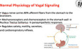 Autonomic and Reflex Phenomena After Sleeve Gastrectomy The Case of Postprandial Sneezing
