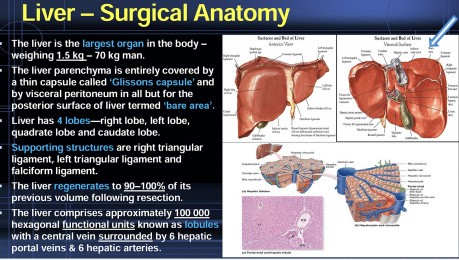 Liver - Abscess & Tumour