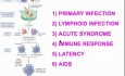 Diseases of Immunity - MSP - 6i