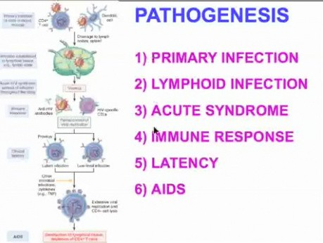 Diseases of Immunity - MSP - 6i