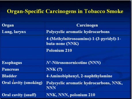 Nutritional and Environmental Diseases - MSP- 9b
