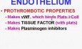 Hemodynamic Disorders, Thromboembolic Disease and Shock - MSP - 4e