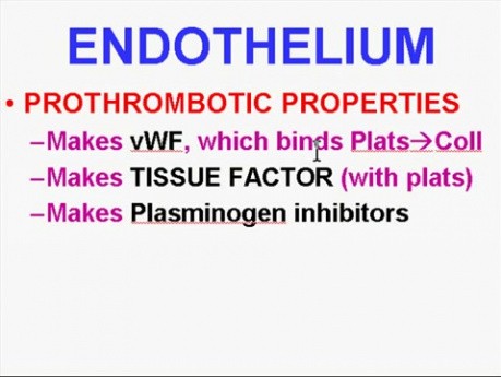 Hemodynamic Disorders, Thromboembolic Disease and Shock - MSP - 4e