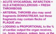 Hemodynamic Disorders, Thromboembolic Disease and Shock - MSP - 4h