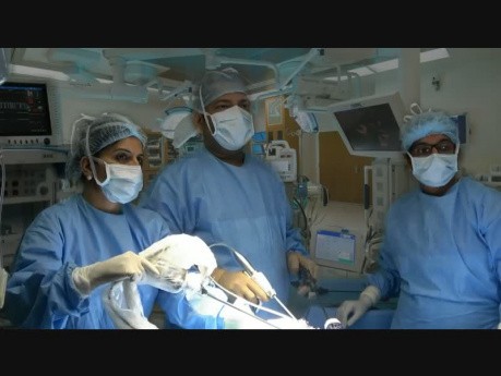 Laparoscopic Orchiectomy Combined with Hernia Repair