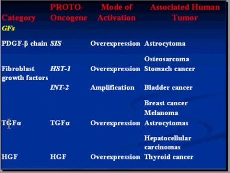 Neoplasia - MSP - 7h