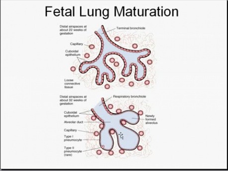 Infancy and Childhood Diseases - MSP - 10e
