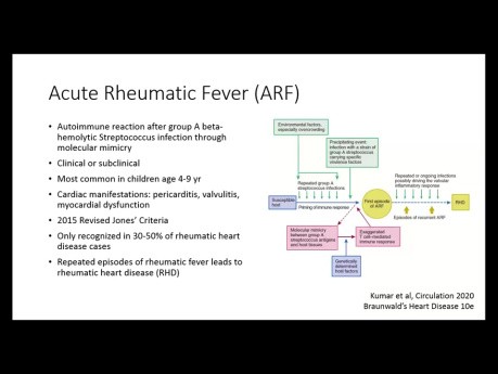 Role of Echocardiogram in Rheumatic Heart Disease