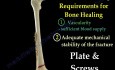 Fracture Healing - Video Tutorial - Part 1