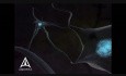 Neurotransmission - 3D Medical Animation