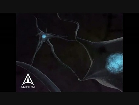 Neurotransmission - 3D Medical Animation