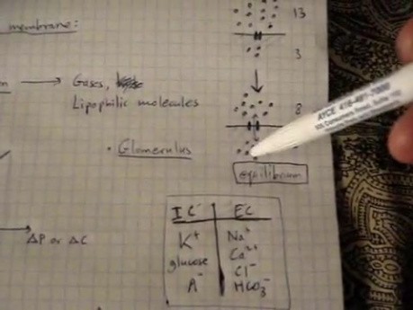 Cell Transport Physiology - Lecture - Part 1/5