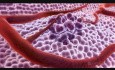 What is Cancer?