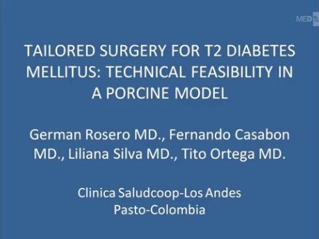 Personalized Procedure Of T2 Diabetes Mellitus Treatment: Technique Improvement On A Swine Model