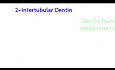 Types of Dentin | Age changes in Dentin | Mantle dentin | Sclerotic dentin | Dead tract | Circumpulpal Dentin