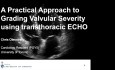A Practical Approach to Grading Valvular Severity Using Transthoracic Echo