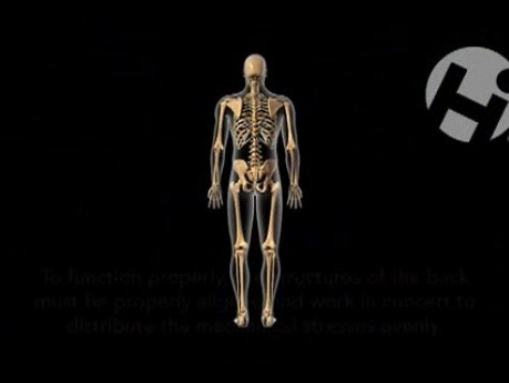 Normal Back Mechanics