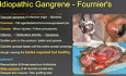Infective Lesions - Scrotum, Testis & Penis