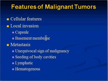 Neoplasia - MSP - 7e