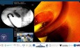 When the Door is Locked, Find Another Key, ERCP Using a Front View Scope