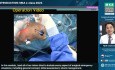 Surgical Emergency Course